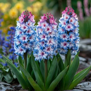 Гиацинт Пинк Мари купить по цене от 2099р. в интернет-магазине «Посадика» с доставкой почтой в в Энгельсе и по всей России – [изображение №1].